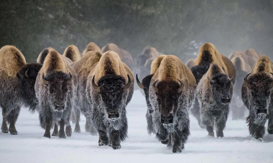 杭州天杭強化生態(tài)材料廠輪播圖1