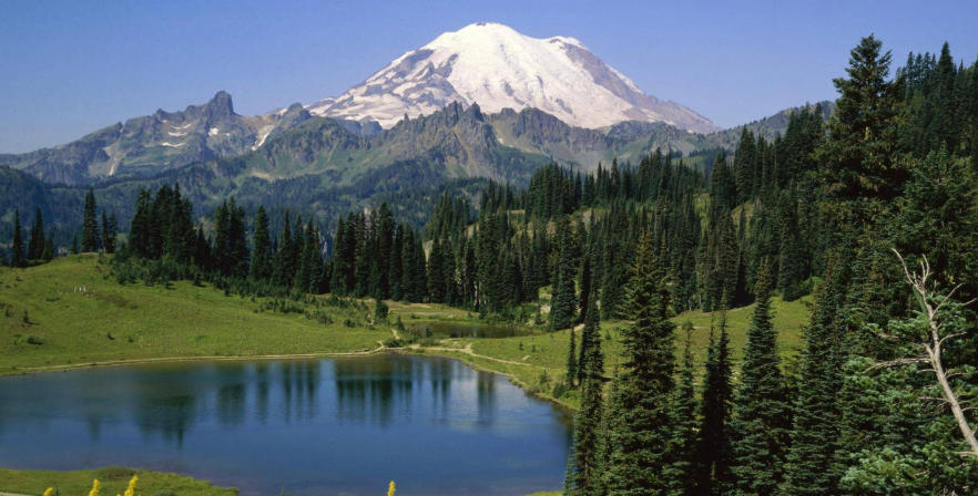 杭州天杭強化生態材料廠輪播圖2